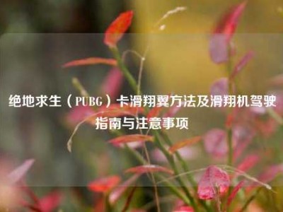 绝地求生（PUBG）卡滑翔翼方法及滑翔机驾驶指南与注意事项