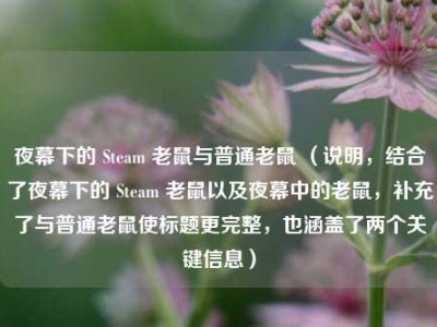 夜幕下的 Steam 老鼠与普通老鼠 （说明，结合了夜幕下的 Steam 老鼠以及夜幕中的老鼠，补充了与普通老鼠使标题更完整，也涵盖了两个关键信息）