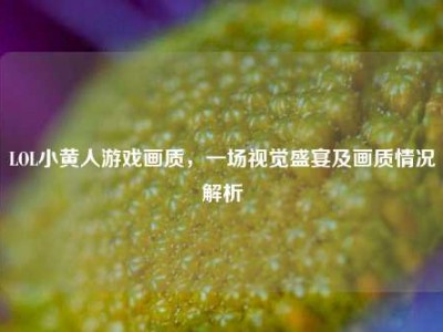 LOL小黄人游戏画质，一场视觉盛宴及画质情况解析