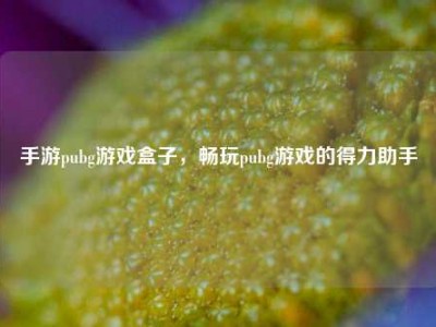 手游pubg游戏盒子，畅玩pubg游戏的得力助手