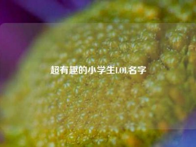 超有趣的小学生LOL名字