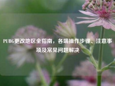 PUBG更改地区全指南，各端操作步骤、注意事项及常见问题解决