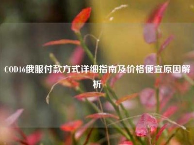 COD16俄服付款方式详细指南及价格便宜原因解析