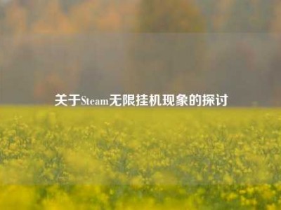 关于Steam无限挂机现象的探讨