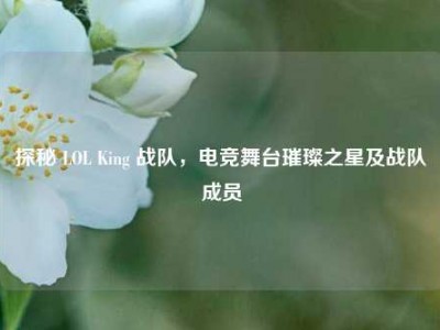 探秘 LOL King 战队，电竞舞台璀璨之星及战队成员