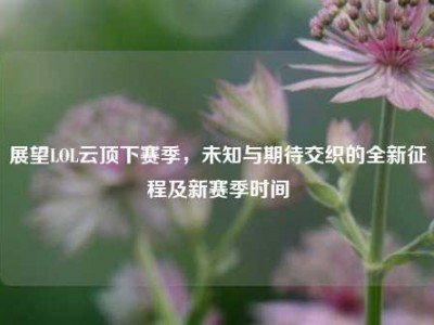展望LOL云顶下赛季，未知与期待交织的全新征程及新赛季时间