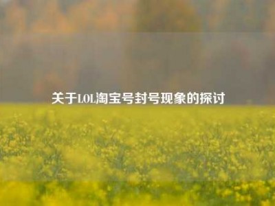 关于LOL淘宝号封号现象的探讨