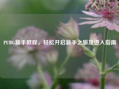 PUBG新手教程，轻松开启新手之旅及进入指南