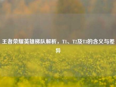 王者荣耀英雄梯队解析，T1、T2及T3的含义与差异