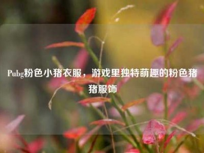 Pubg粉色小猪衣服，游戏里独特萌趣的粉色猪猪服饰
