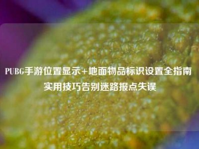 PUBG手游位置显示+地面物品标识设置全指南 实用技巧告别迷路报点失误