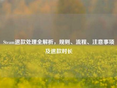 Steam退款处理全解析，规则、流程、注意事项及退款时长
