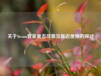 关于Steam管家是否可靠及能否使用的探讨