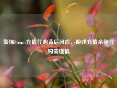 警惕Steam充值代购背后风险，游戏充值余额代购需谨慎