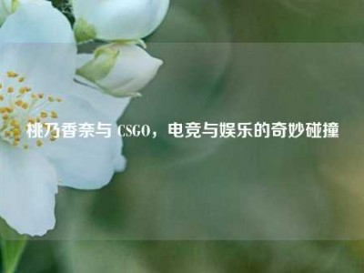 桃乃香奈与 CSGO，电竞与娱乐的奇妙碰撞