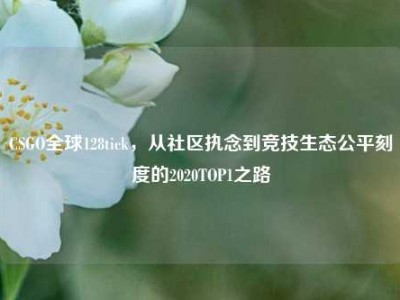 CSGO全球128tick，从社区执念到竞技生态公平刻度的2020TOP1之路