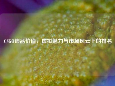 CSGO饰品价值，虚拟魅力与市场风云下的排名