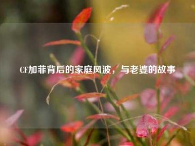 CF加菲背后的家庭风波，与老婆的故事