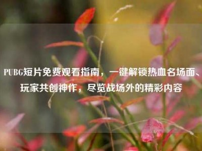 PUBG短片免费观看指南，一键解锁热血名场面、玩家共创神作，尽览战场外的精彩内容