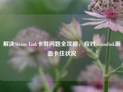 解决Steam Link卡屏问题全攻略，应对steamlink画面卡住状况