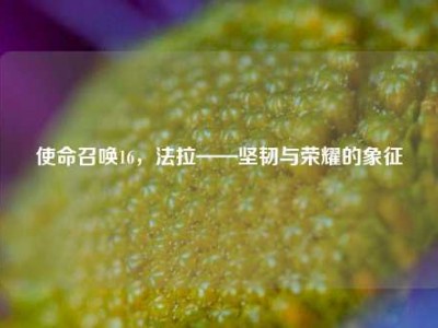 使命召唤16，法拉——坚韧与荣耀的象征