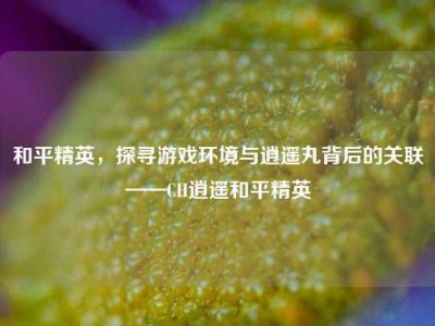 和平精英，探寻游戏环境与逍遥丸背后的关联——CH逍遥和平精英