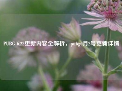 PUBG 6.22更新内容全解析，pubg6月2号更新详情