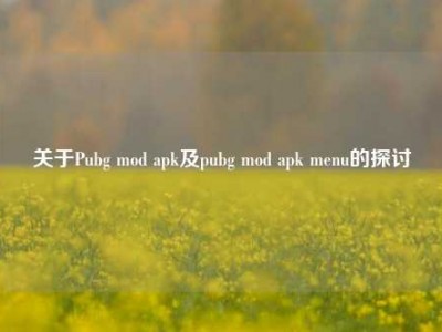 关于Pubg mod apk及pubg mod apk menu的探讨