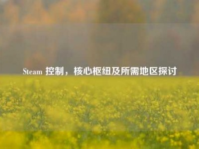 Steam 控制，核心枢纽及所需地区探讨