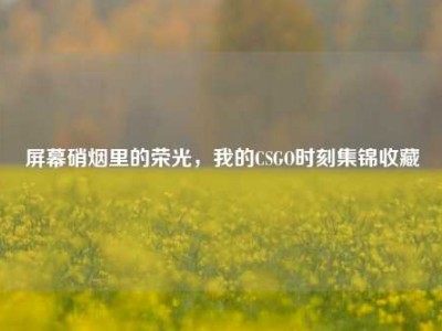 屏幕硝烟里的荣光，我的CSGO时刻集锦收藏