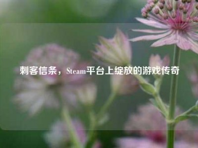 刺客信条，Steam平台上绽放的游戏传奇