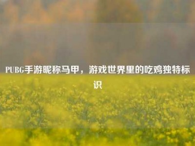 PUBG手游昵称马甲，游戏世界里的吃鸡独特标识