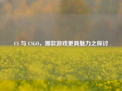 CS 与 CSGO，哪款游戏更具魅力之探讨