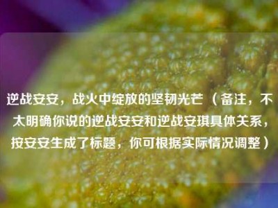 逆战安安，战火中绽放的坚韧光芒 （备注，不太明确你说的逆战安安和逆战安琪具体关系，按安安生成了标题，你可根据实际情况调整）