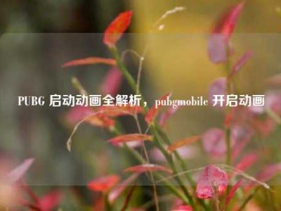 PUBG 启动动画全解析，pubgmobile 开启动画