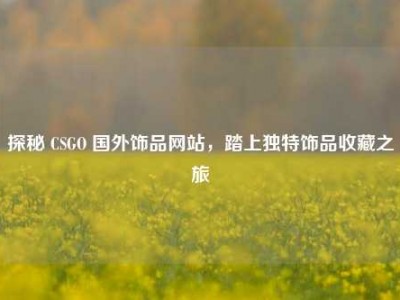 探秘 CSGO 国外饰品网站，踏上独特饰品收藏之旅