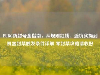 PUBG防封号全指南，从规则红线、避坑实操到机器封禁触发条件详解 零封禁攻略请收好