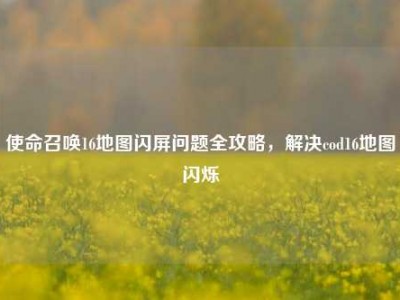 使命召唤16地图闪屏问题全攻略，解决cod16地图闪烁