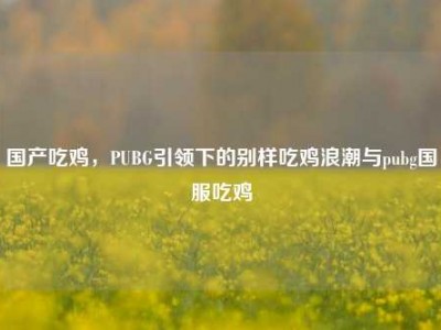 国产吃鸡，PUBG引领下的别样吃鸡浪潮与pubg国服吃鸡