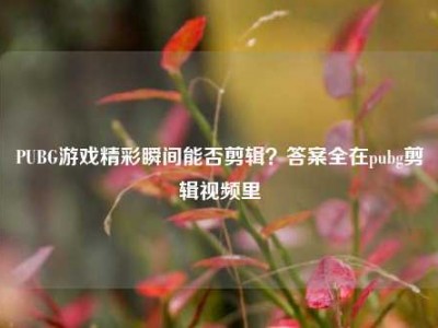 PUBG游戏精彩瞬间能否剪辑？答案全在pubg剪辑视频里