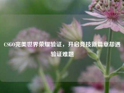 CSGO完美世界荣耀验证，开启竞技新篇章却遇验证难题