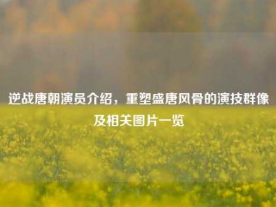 逆战唐朝演员介绍，重塑盛唐风骨的演技群像及相关图片一览