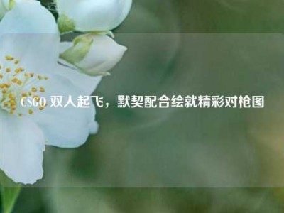 CSGO 双人起飞，默契配合绘就精彩对枪图