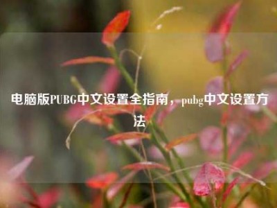 电脑版PUBG中文设置全指南，pubg中文设置方法