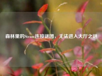 森林里的Steam连接谜团，无法进入大厅之谜