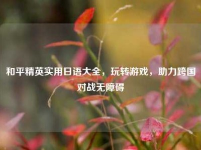 和平精英实用日语大全，玩转游戏，助力跨国对战无障碍