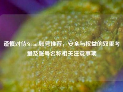 谨慎对待Steam账号推荐，安全与权益的双重考量及账号名称相关注意事项