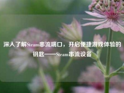 深入了解Steam串流端口，开启便捷游戏体验的钥匙——Steam串流设备