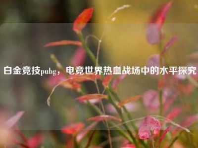 白金竞技pubg，电竞世界热血战场中的水平探究