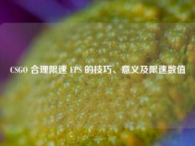 CSGO 合理限速 FPS 的技巧、意义及限速数值